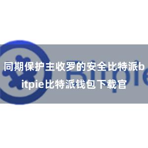 同期保护主收罗的安全比特派bitpie比特派钱包下载官